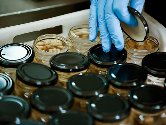 conservas-botes-artesanos